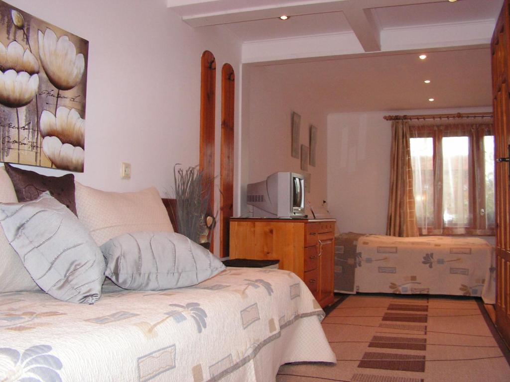 Guest House Voyno Dobrinishte Room photo