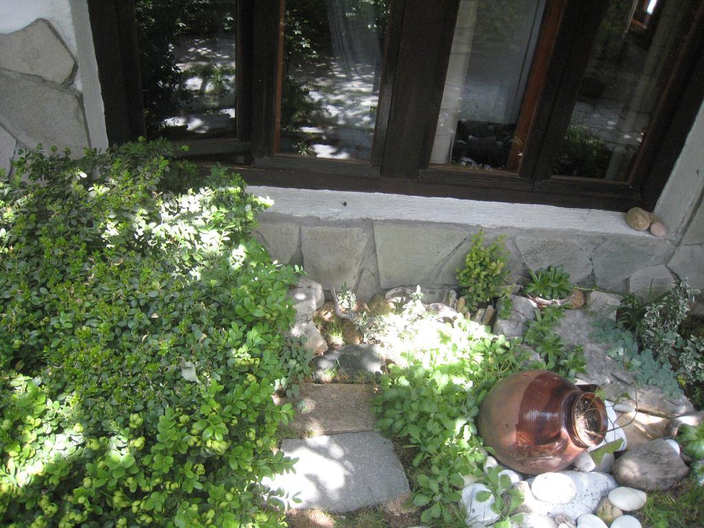 Guest House Voyno Dobrinishte Exterior photo
